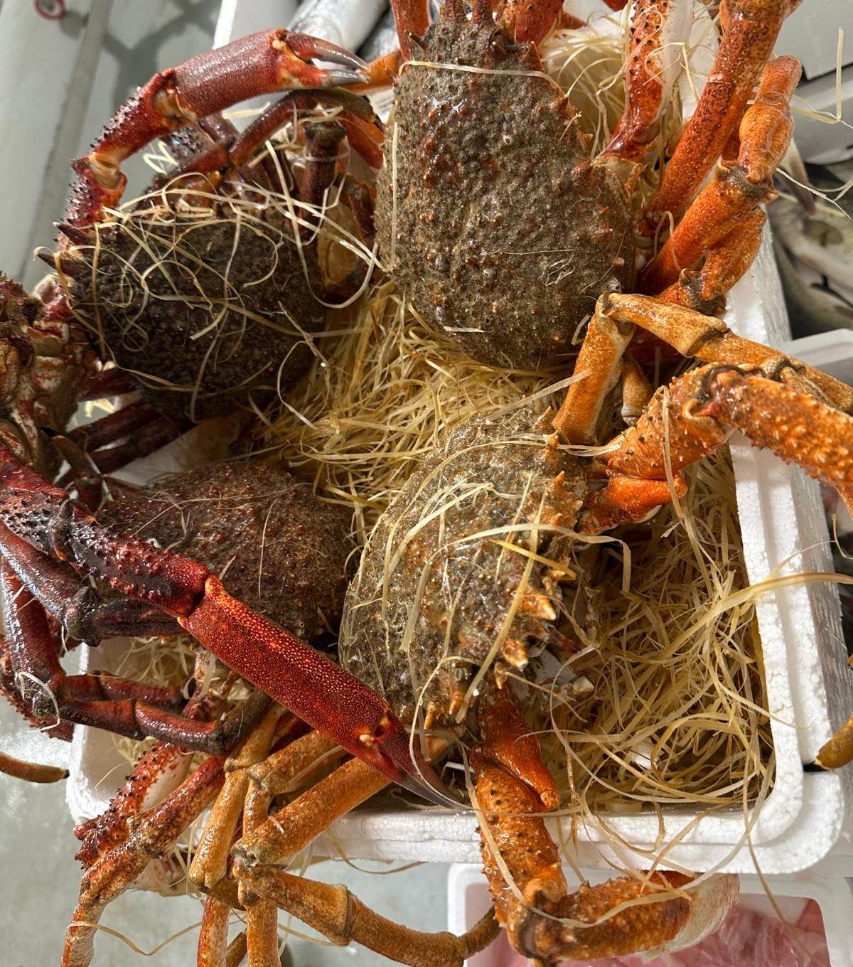 Granseole e altri crostacei in una cassa