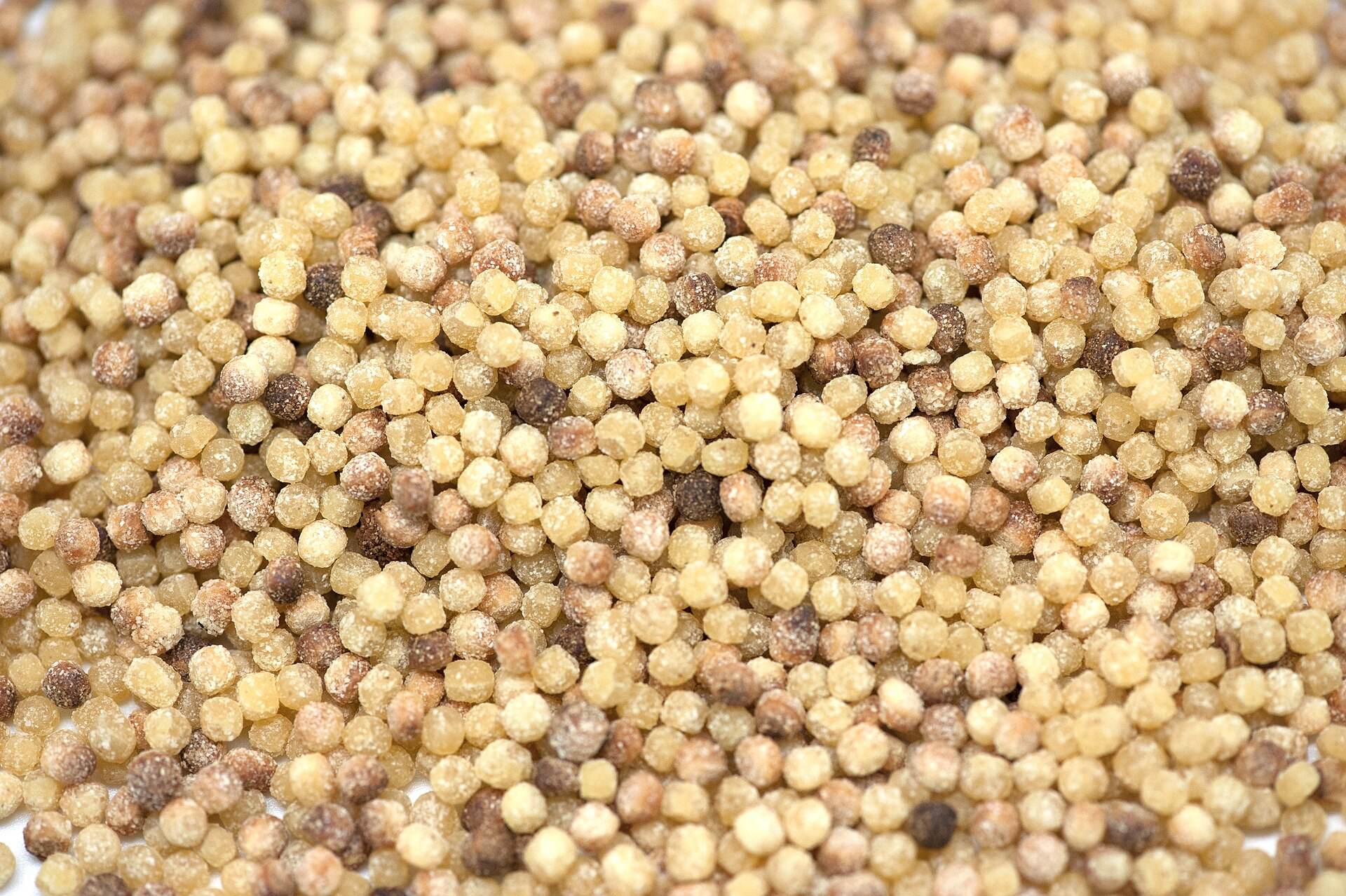 Fregola sarda tostata, cruda