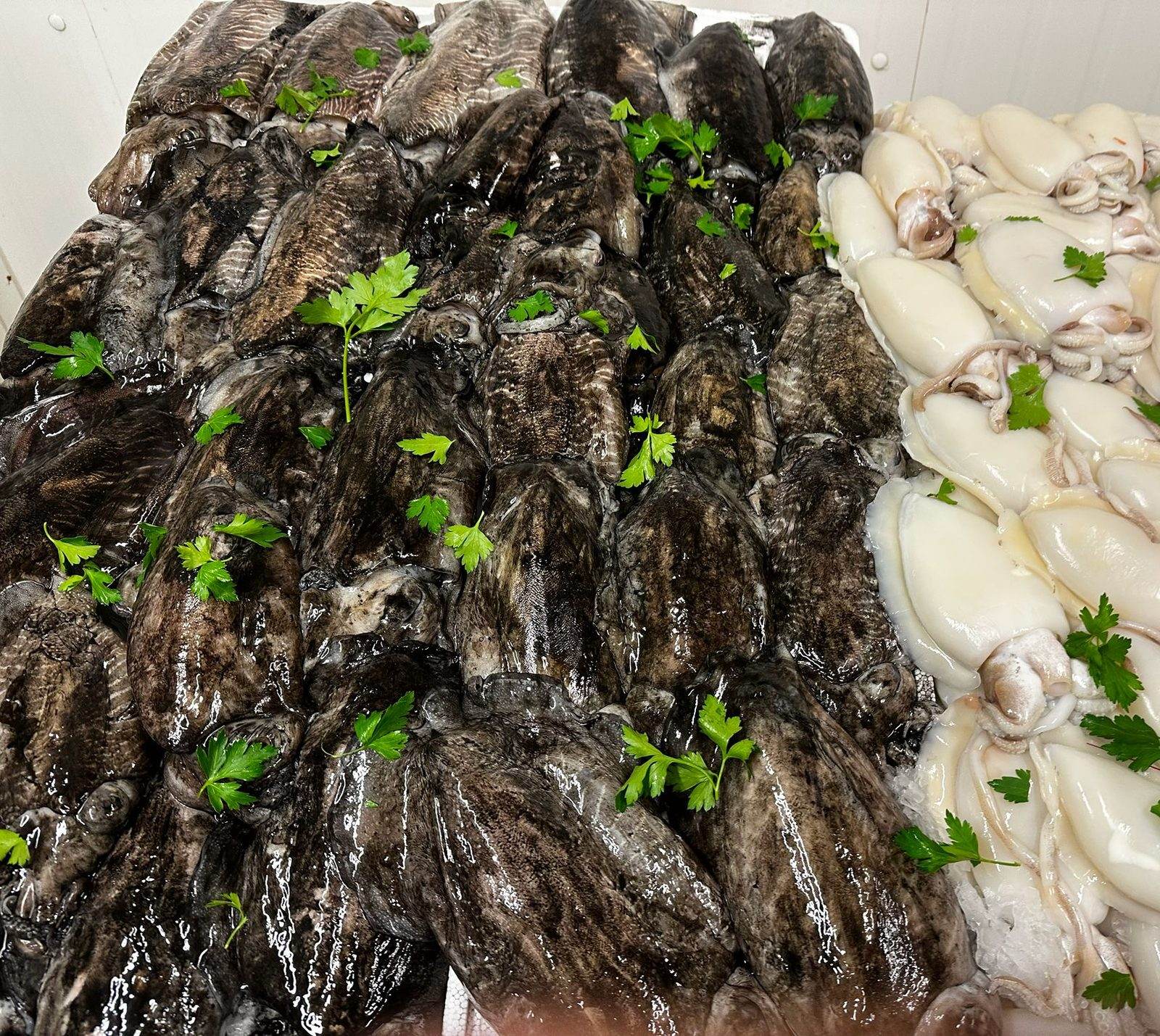 Seppie e calamari freschi, con il prezzemolo