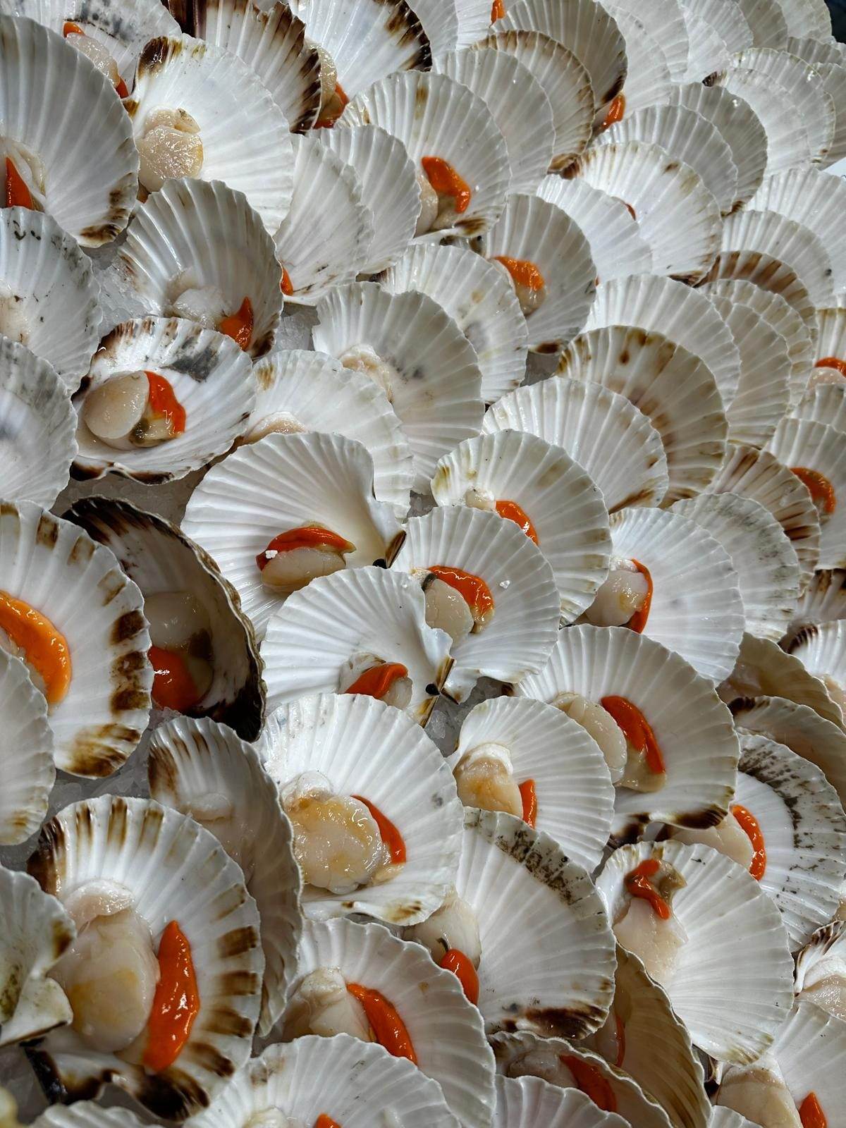 Capesante in conchiglia